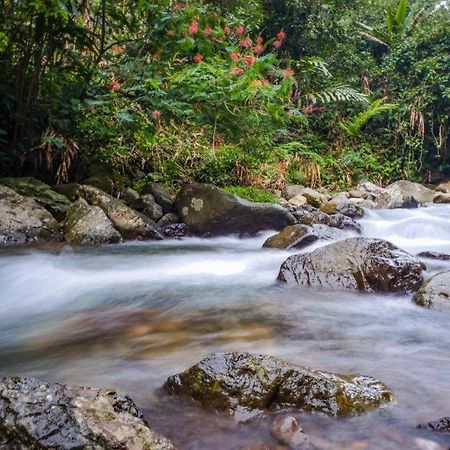 Hotel Oyo 93146 Lamin Indah Puncak Zewnętrze zdjęcie