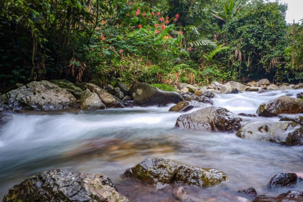 Hotel Oyo 93146 Lamin Indah Puncak Zewnętrze zdjęcie